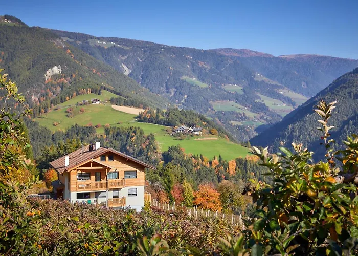 Ferienwohnung Am Kernhof - Neues Apartment In Ruhiger Lage Mitten In Der Natur - Ideal Fuer Paare, Familien, Gaeste Mit Hunden