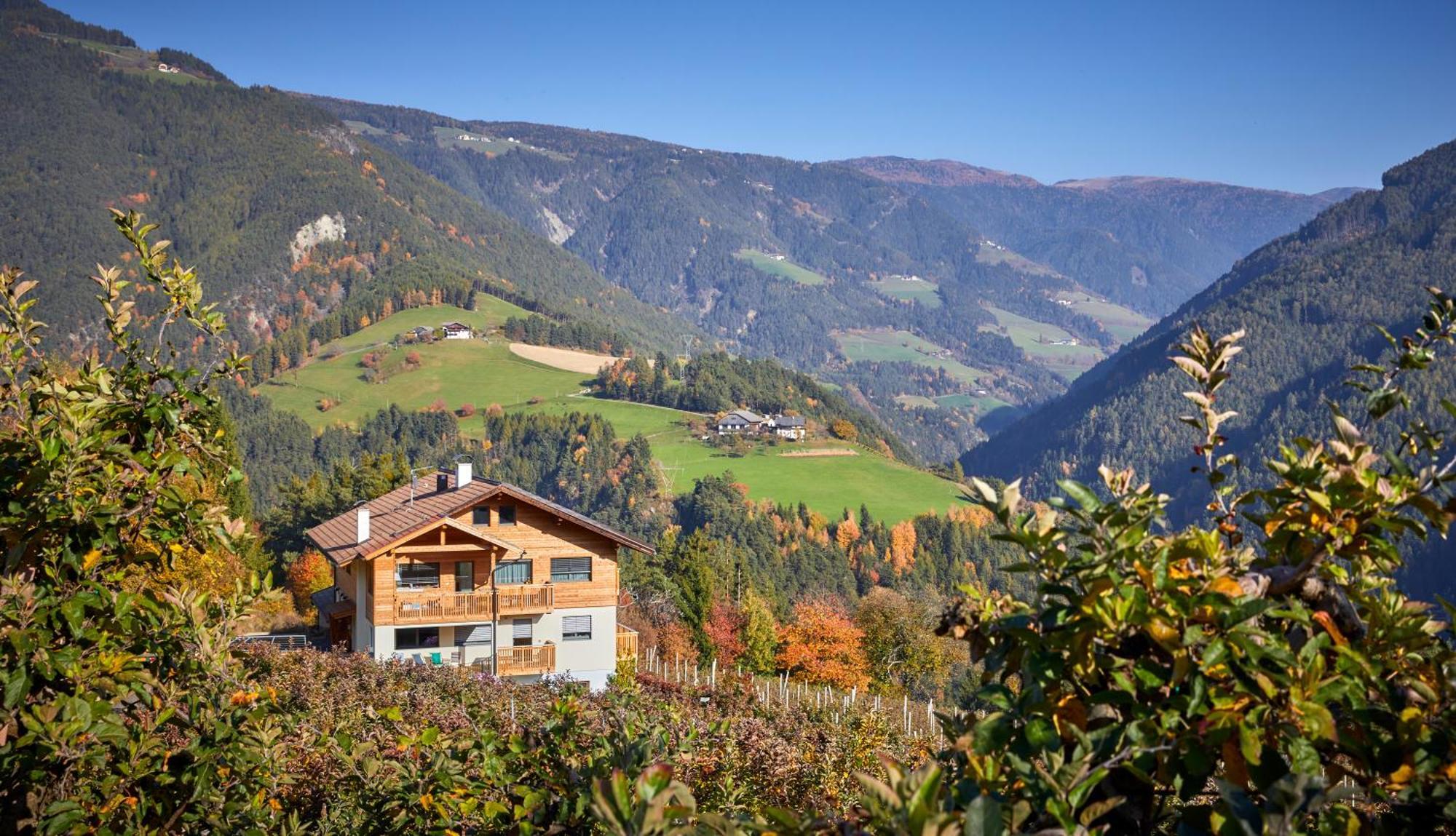Am Kernhof: Tranquil Nature Retreat For Couples, Families & Pet Owners